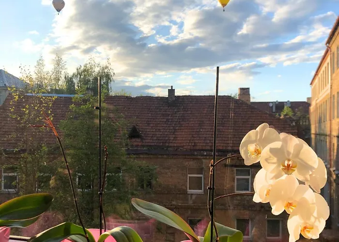 Appartement Algirdo Apartments, Self Check-in, Free Private Parking