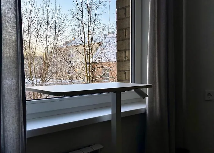 Algirdo Apartments, Self Check-in, Free Private Parking * Vilnius